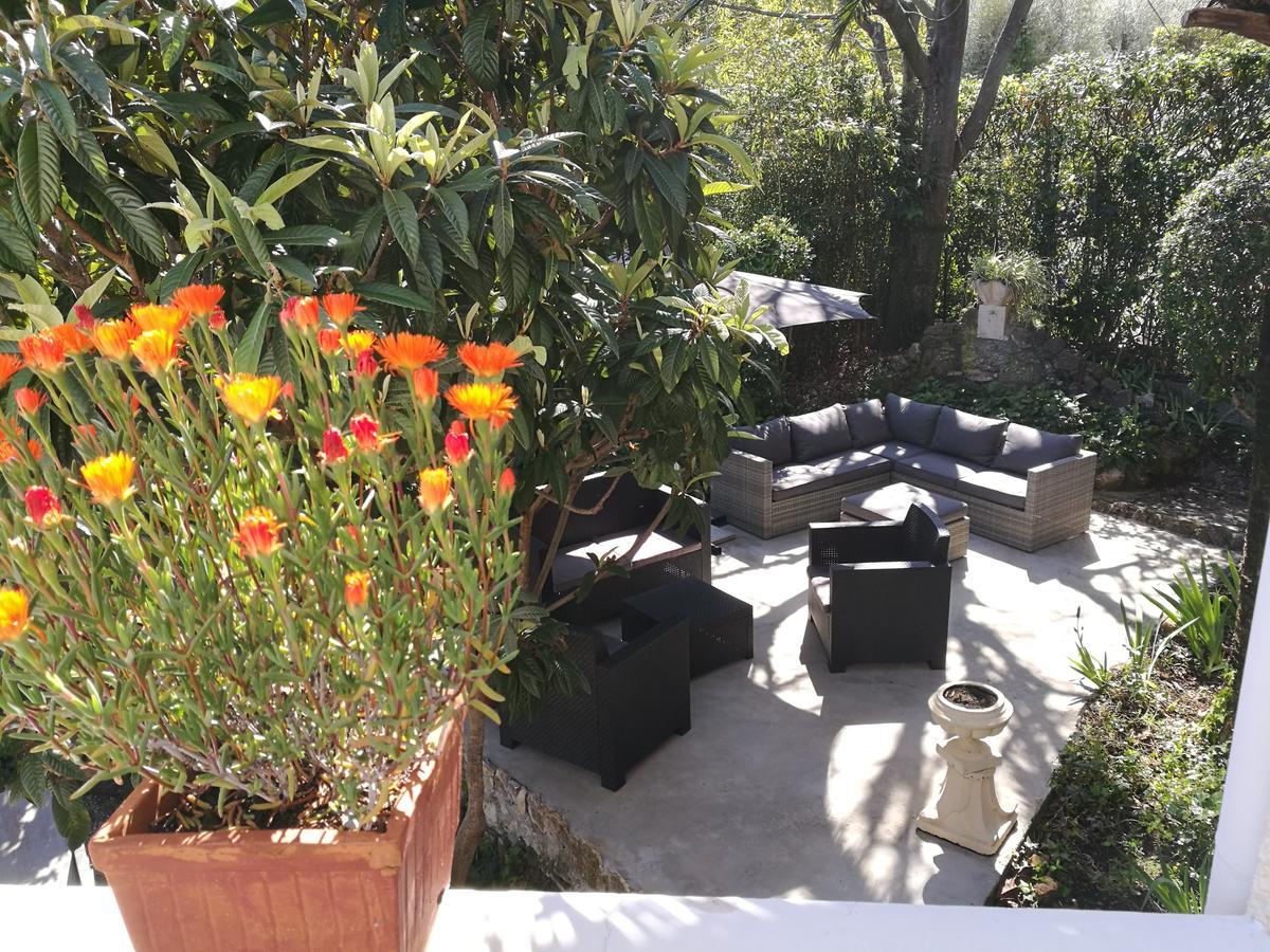 Villa Asmodee Antibes Zewnętrze zdjęcie